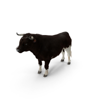 Bull With A Chain Fur PNG & PSD Images