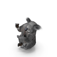 Koala Climbing Fur PNG & PSD Images