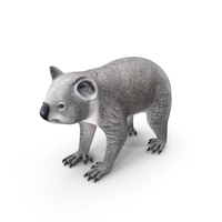 Phascolarctos Cinereus PNG & PSD Images