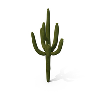 Giant Saguaro Cactus PNG & PSD Images