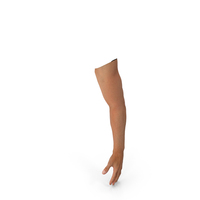 Arm Realistic Male Anatomy PNG & PSD Images