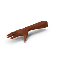 Brown Skinned Female Hand Base Pose PNG & PSD Images