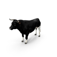 Bull With A Chain PNG & PSD Images