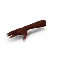 Afro American Female Hands Base Pose PNG & PSD Images