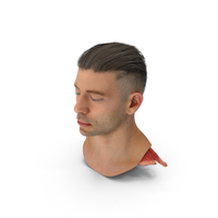 Male Head Realistic Anatomy PNG & PSD Images