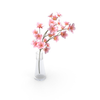 Cherry Blossom PNG & PSD Images