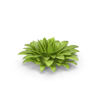 Cartoon Grass PNG & PSD Images