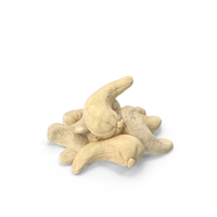 Cashews PNG & PSD Images