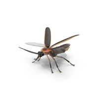 Big Dipper Firefly Basic Pose PNG & PSD Images