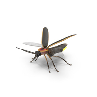Glowing Firefly Basic Pose Fur PNG & PSD Images