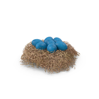 Blue Bird Eggs PNG & PSD Images
