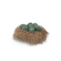 Green Bird Eggs PNG & PSD Images