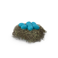 Blue Bird Eggs PNG & PSD Images