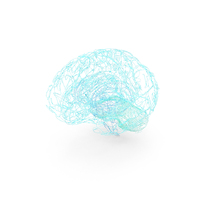 Wire Model Of The Human Brain PNG & PSD Images