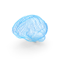 Brain Scan PNG & PSD Images