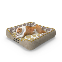 Bulldog Sleep in Pet Bed PNG & PSD Images