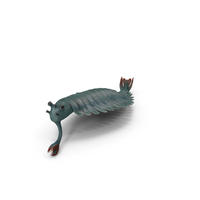 Green Opabinia Swimming PNG & PSD Images