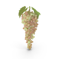 Pink Sultana Grape Cluster PNG & PSD Images