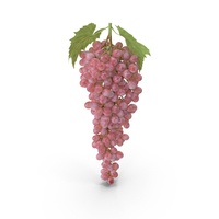 Red Sultana Grape Cluster PNG & PSD Images