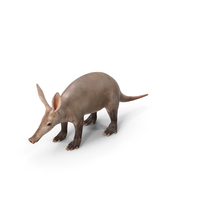 Aardvark Basic Pose PNG & PSD Images
