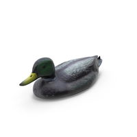 Decorative Duck For Artificial Ponds And Pools PNG & PSD Images