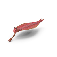Pink Opabinia PNG & PSD Images