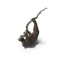 Sloth Hanging From A Branch Fur PNG & PSD Images