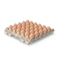 Egg Carton With Eggs PNG & PSD Images