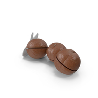 Cut Macadamia Nuts with Iron Opener PNG & PSD Images