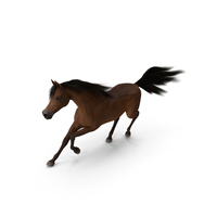 Galloping Arabian Horse Brown Fur PNG & PSD Images