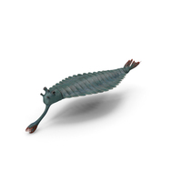Green Opabinia PNG & PSD Images