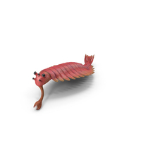 Pink Opabinia Swimming PNG & PSD Images
