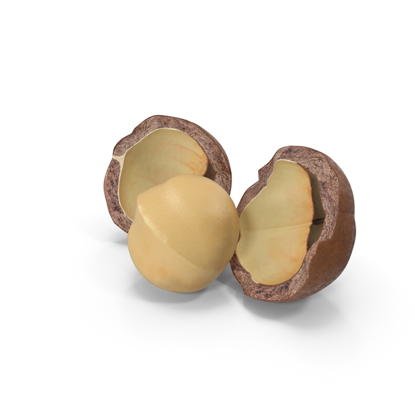 Split Macadamia Nut PNG & PSD Images