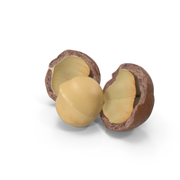 Split Macadamia Nut PNG & PSD Images