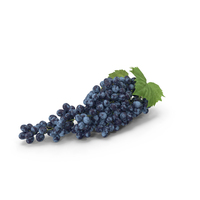 Sultana Blue Grape Cluster Lying PNG & PSD Images