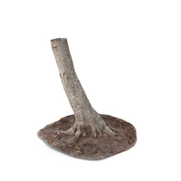 Forest Tree Trunk PNG & PSD Images