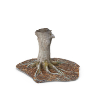 Forest Tree Trunk PNG & PSD Images