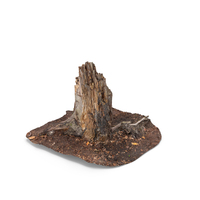 Trimmed Trunk PNG & PSD Images