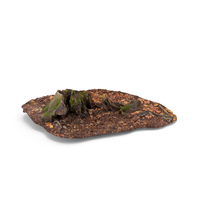 Trimmed Trunk PNG & PSD Images