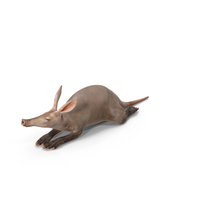 African Animal Aardvark Lying Pose PNG & PSD Images