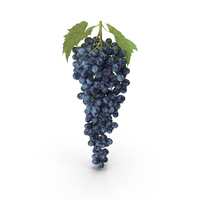 Blue Sultana Grape Cluster PNG & PSD Images