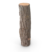 Bark PNG & PSD Images