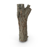 Bark PNG & PSD Images