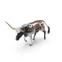 Mottled Brown Longhorn Bull Walking Pose PNG & PSD Images