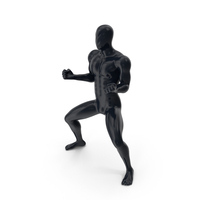 Mannequin Stands In A Karate Pose PNG & PSD Images