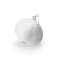 Monochrome Beet PNG & PSD Images