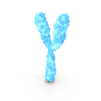 Male Y Chromosome PNG & PSD Images