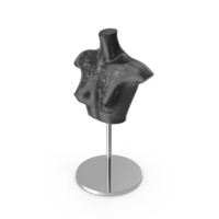 Torso Black Female Mannequin PNG & PSD Images