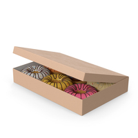 Donuts In Box PNG & PSD Images