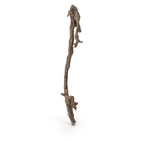 Grapevine Bark PNG & PSD Images